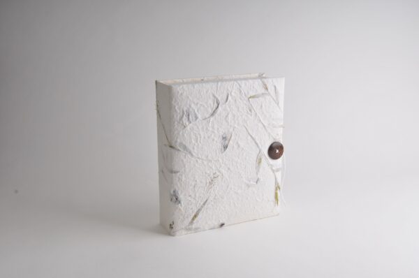 Pride and Prejudice Book Box