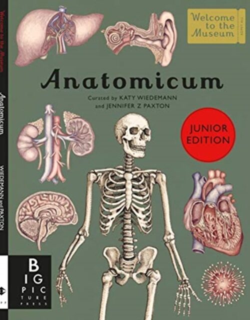 9781787416543.jpg Anatomicum Junior