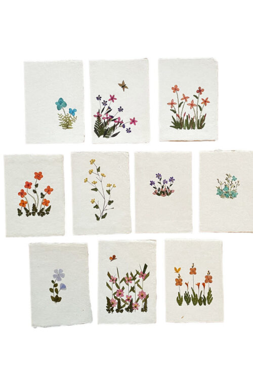PN221 Card (and envelope) with floral decoration