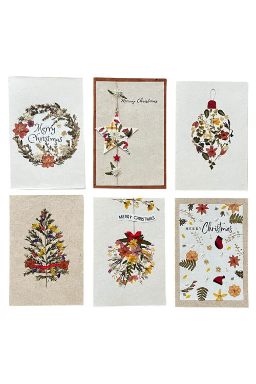 PN360 Card (and envelope) with a Christmas design
