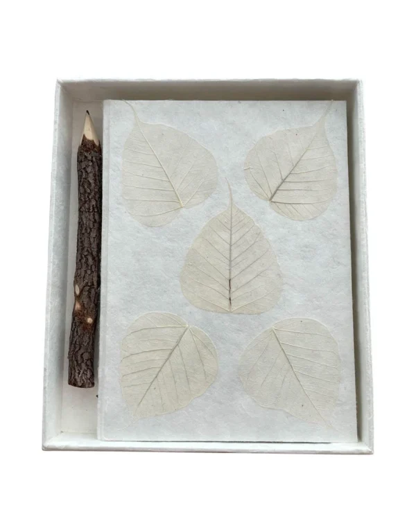 TH253 Notebook mulberrypaper, box and pencil
