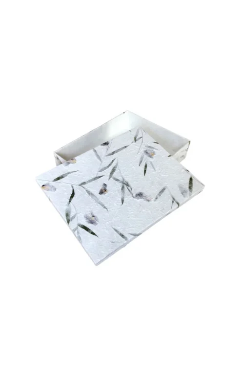 TH285 Memory box
