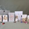 Anne of Green Gables Book Box II