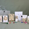 Anne of Green Gables Book Box