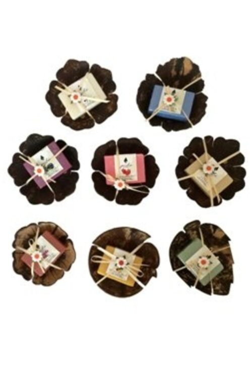 th343-coconut-shell-with-soap Coconut Shell with Soap