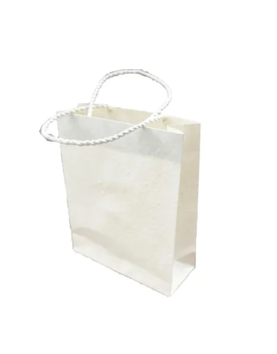 Ivory paper bag