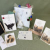 If Cats Disappeared From the World Book Box