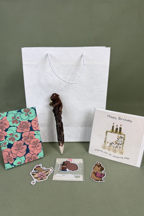 Birthday Little Treasures No. 20 – Capybara Reading Gift Set
