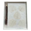 Little Treasures No. 22 – Mrs Dalloway Botanical Writing Set